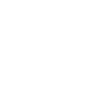 Map of India Icon